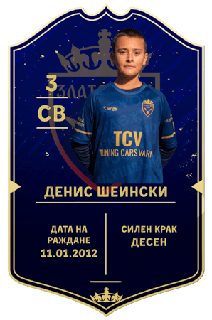 Денис Шеински — защитник с номер 3